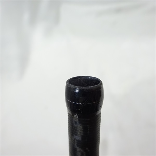 ２０ルナミスＳ１００Ｍ